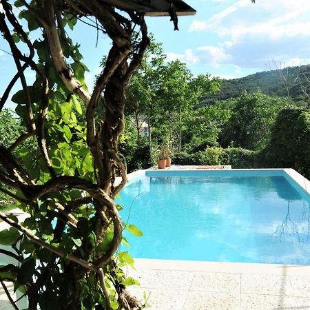 Villa Regina Serafina بالشيك المظهر الخارجي الصورة