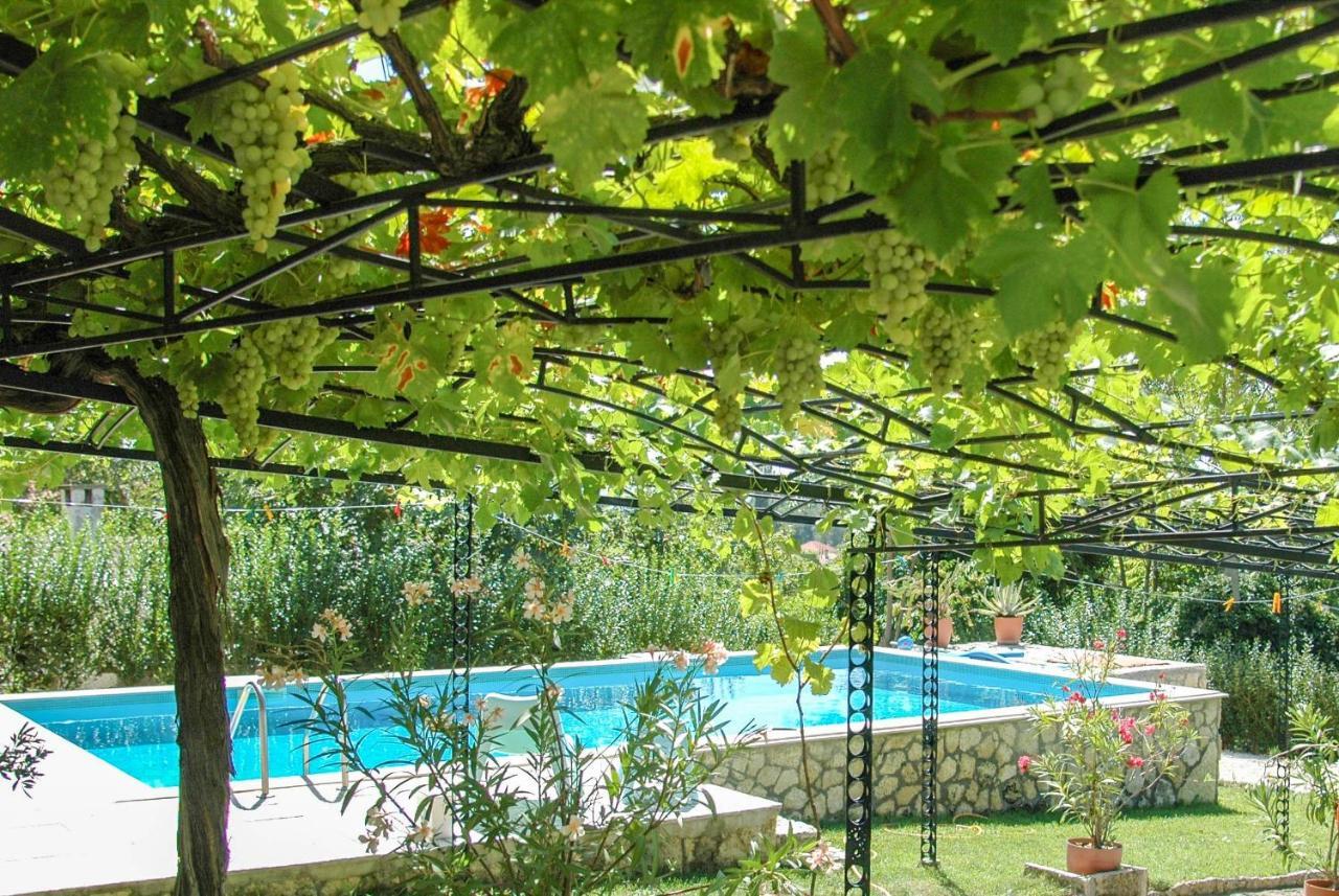 Villa Regina Serafina بالشيك المظهر الخارجي الصورة