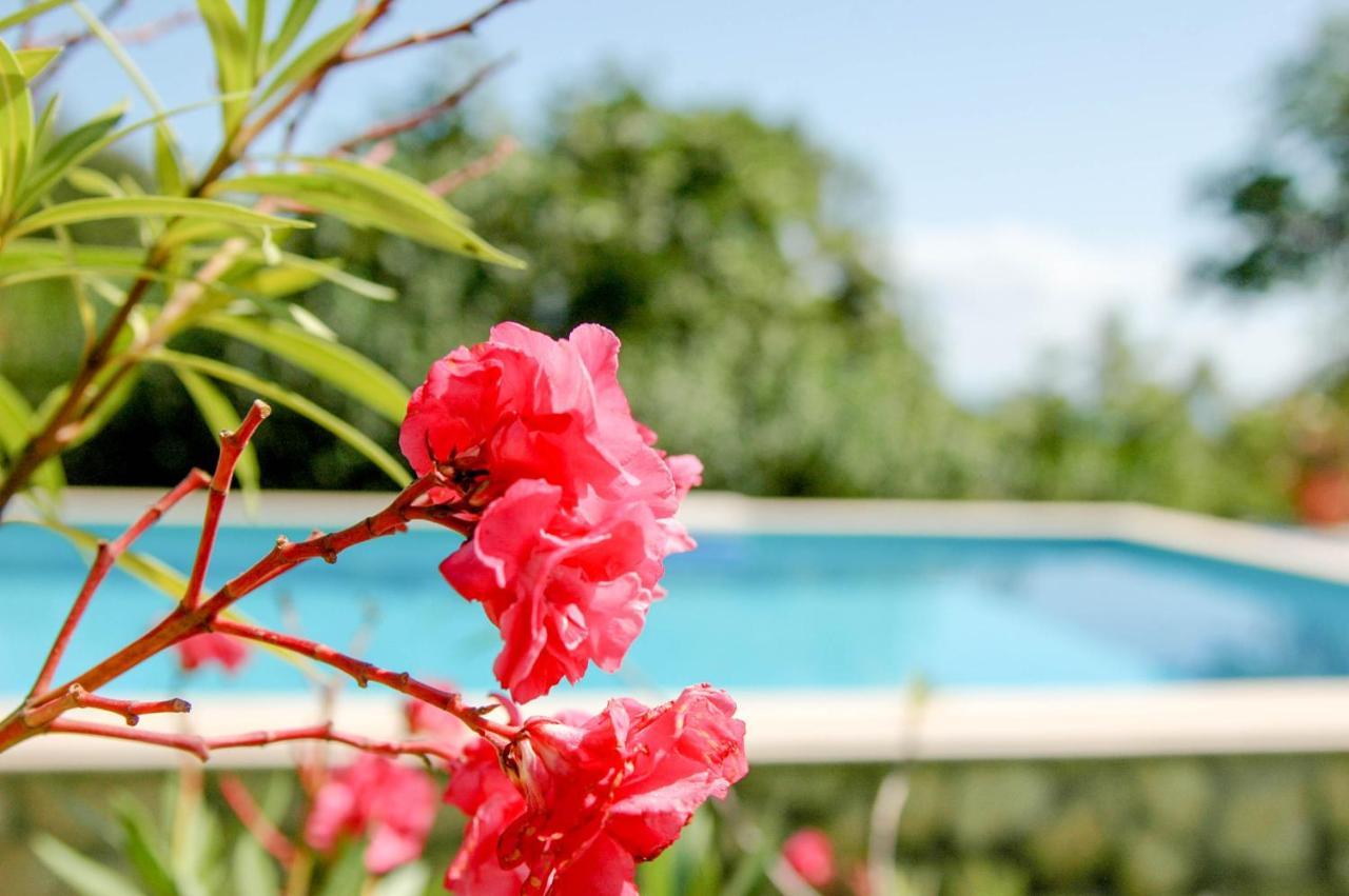 Villa Regina Serafina بالشيك المظهر الخارجي الصورة