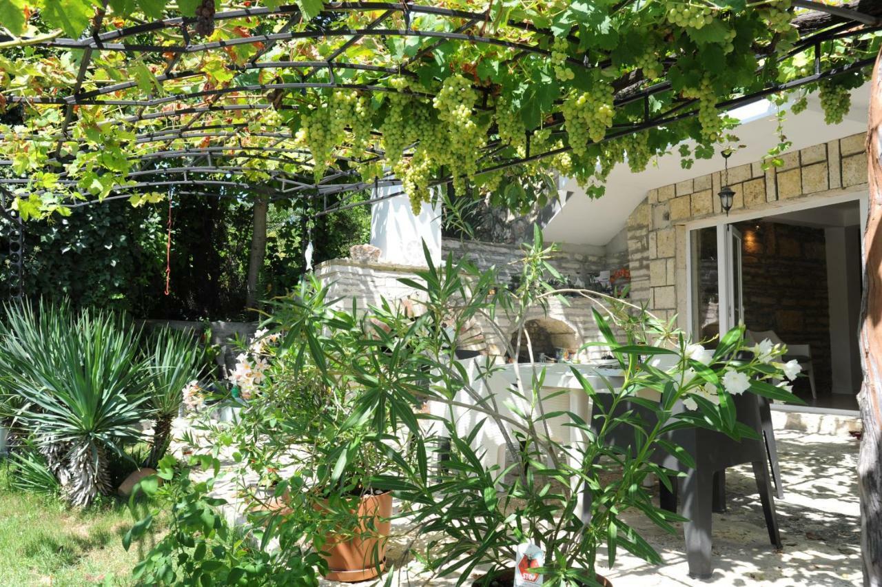 Villa Regina Serafina بالشيك المظهر الخارجي الصورة