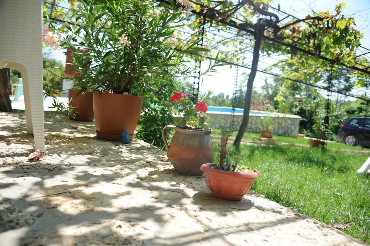 Villa Regina Serafina بالشيك المظهر الخارجي الصورة